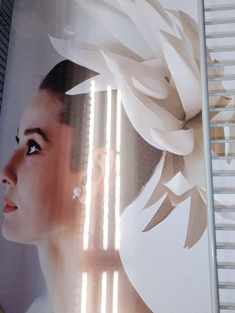 Elegant White Bridal Fascinator Headpiece Wall Art Canvas - Larger Size